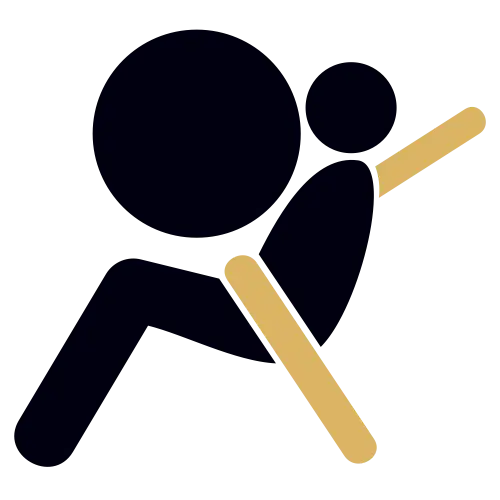 airbag check icon